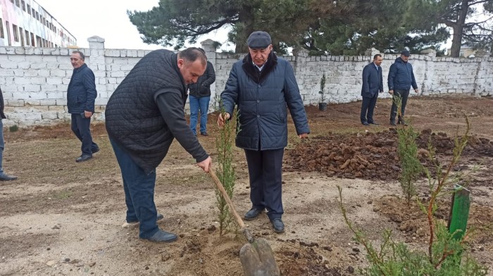 Xəzər rayonunda ağacəkmə aksiyası keçirildi - FOTOLAR